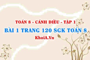 Bài 1 trang 120 SGK Toán 8 tập 1 Cánh Diều